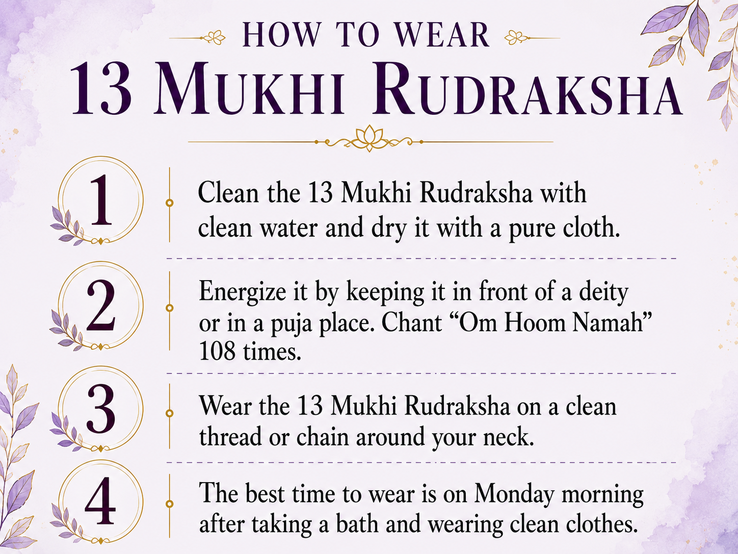 13 Mukhi Rudraksha (Nepal Origin)